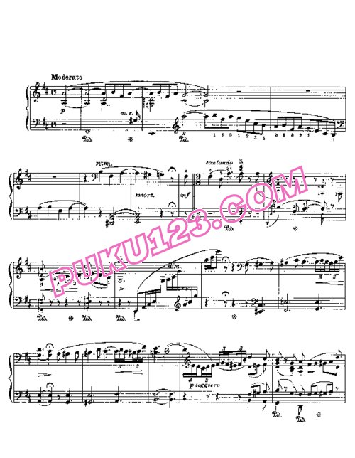 天天钢琴网-免费下载Liszt - Wagner - Am Stillen Herd (extrait des Maitres chanteurs) 李斯特改编
