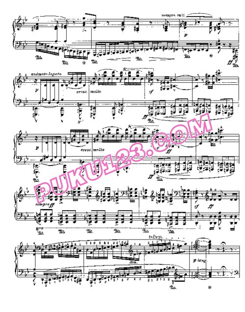 天天钢琴网-免费下载Liszt - Wagner - Ballade (extrait du Hollandais volant) 李斯特改编