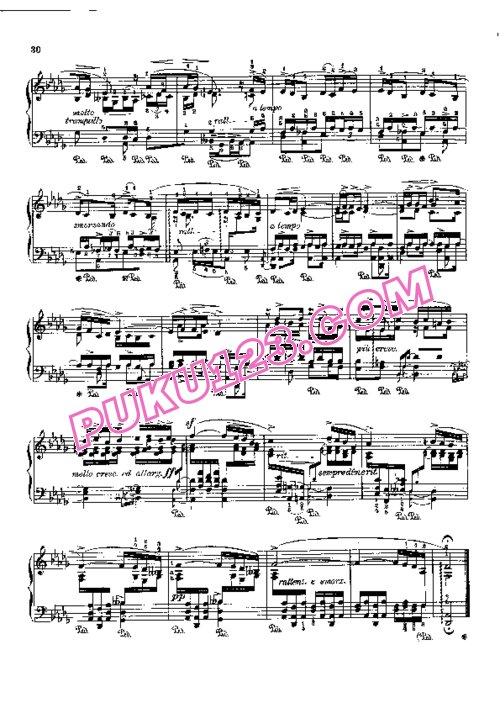 天天钢琴网-免费下载Godowsky - Chopin - Etudes Complete part.1