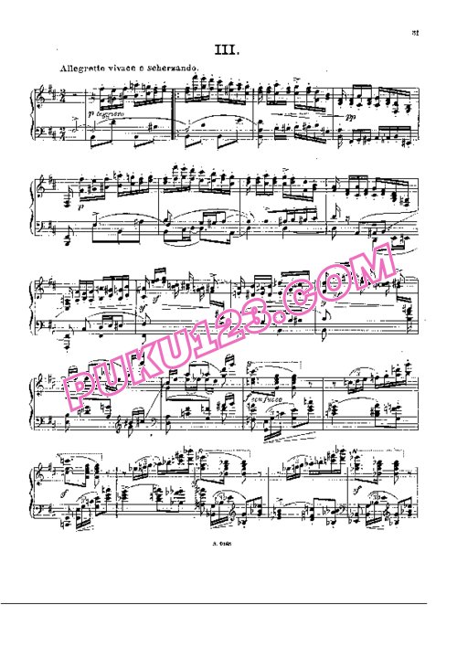 天天钢琴网-免费下载Godowsky.-.Sonate-in-e-minor