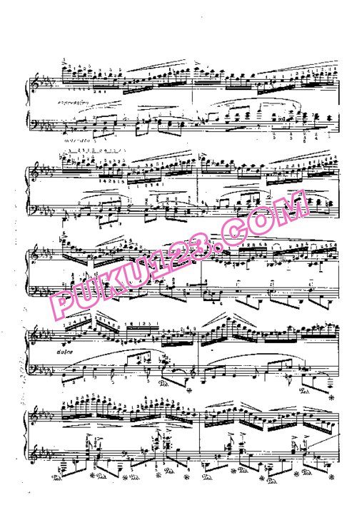 天天钢琴网-免费下载Godowsky.-.op.13.-.Toccata