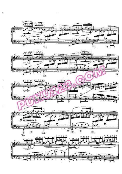 天天钢琴网-免费下载Godowsky.-.op.13.-.Toccata