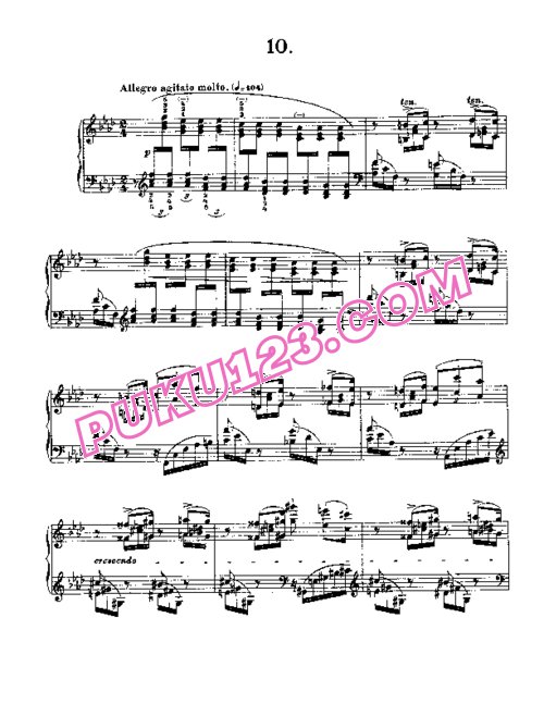 天天钢琴网-免费下载Liszt - Etudes d'execution transcendante No.10 (appassionata)