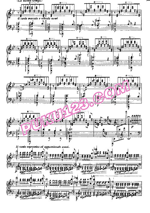 天天钢琴网-免费下载Liszt - Etudes d'execution transcendante No.4 (Mazeppa)