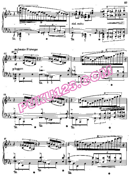 天天钢琴网-免费下载Liszt - Etudes d'execution transcendante No.7 (Eroica)