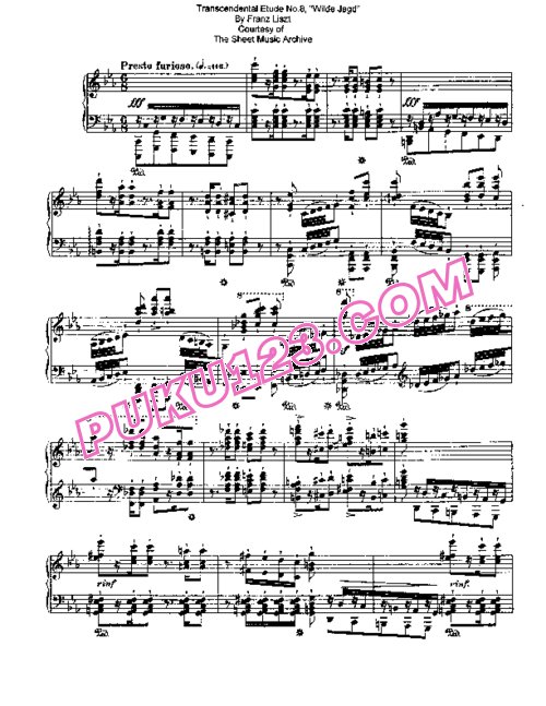 天天钢琴网-免费下载Liszt - Etudes d'execution transcendante No.8 (Wilde Jagd)