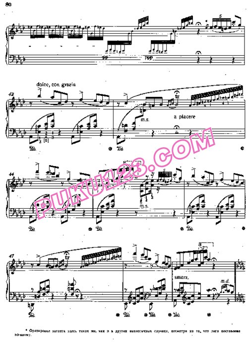 天天钢琴网-免费下载Liszt - Etudes d'execution transcendante No.9 (Ricordanza)