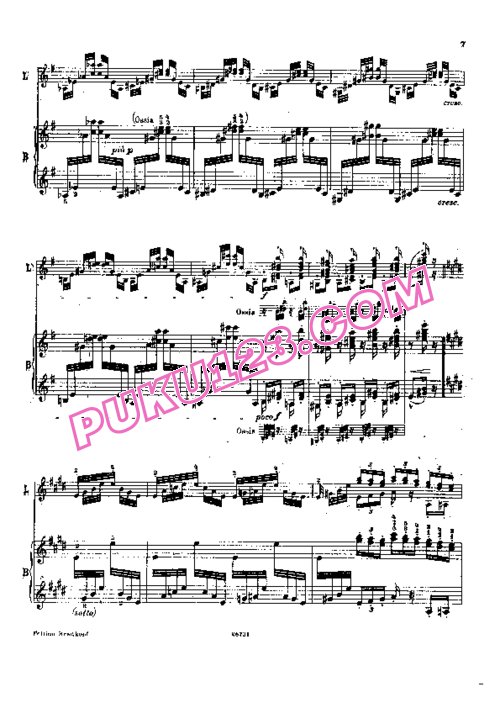 天天钢琴网-免费下载Liszt - Busoni - 6 Paganini Etudes 布索尼版