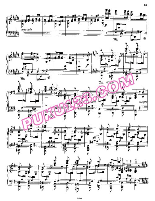 天天钢琴网-免费下载Liszt - Paganini Etudes No.5 in E