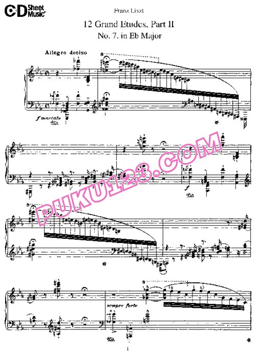 天天钢琴网-免费下载Liszt - 12 Grand Etudes no.7-12