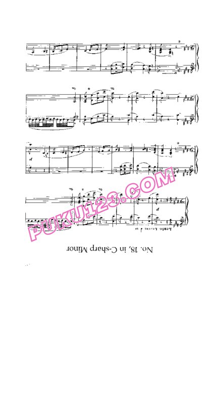 天天钢琴网-免费下载Liszt - Rhapsodies Hongroises No.17 et 18