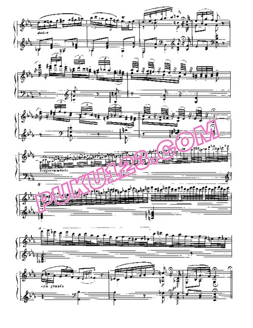 天天钢琴网-免费下载Liszt - Rhapsodies Hongroises No.4