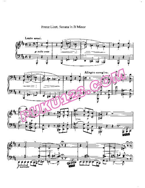 天天钢琴网-免费下载Liszt - Sonata in b Minor S.178
