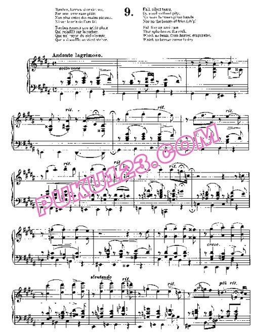 天天钢琴网-免费下载Liszt - Harmonies Poetiques et Religieuses No.9