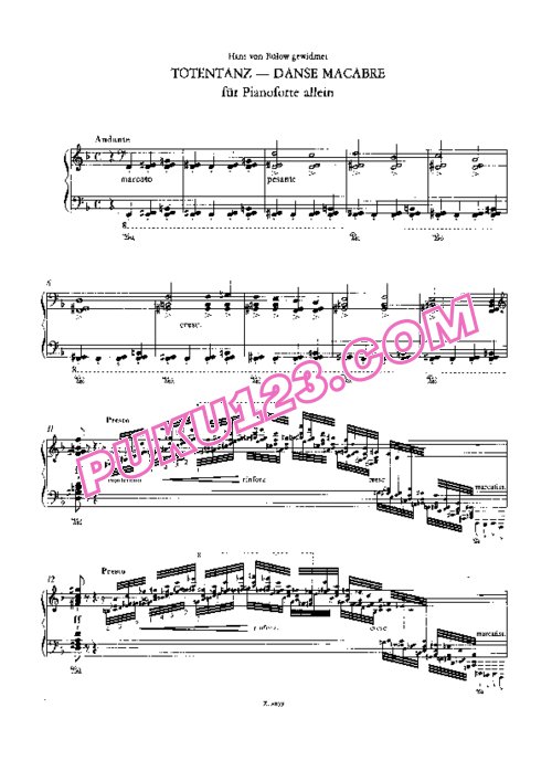 天天钢琴网-免费下载Liszt - Totentanz - Solo Piano S.525 独奏版
