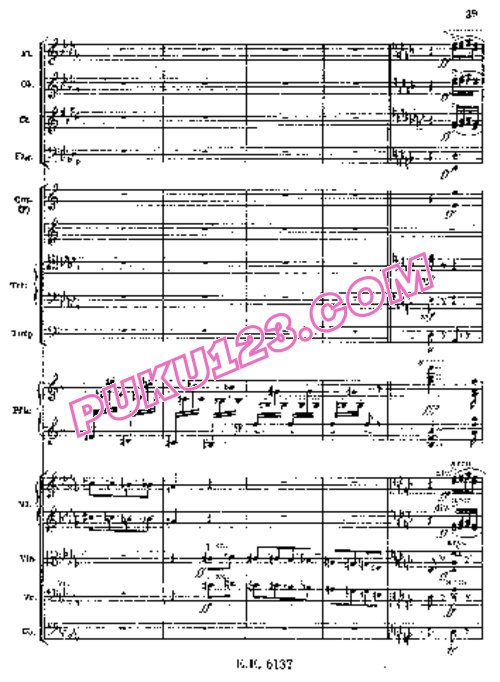 天天钢琴网-免费下载Liszt - Totentanz S.126 - Full Score