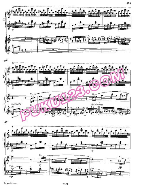 天天钢琴网-免费下载Liszt - Fantasia on Hungarian Folk Melodies (Hungarian Fantasia) S.123 双钢琴版