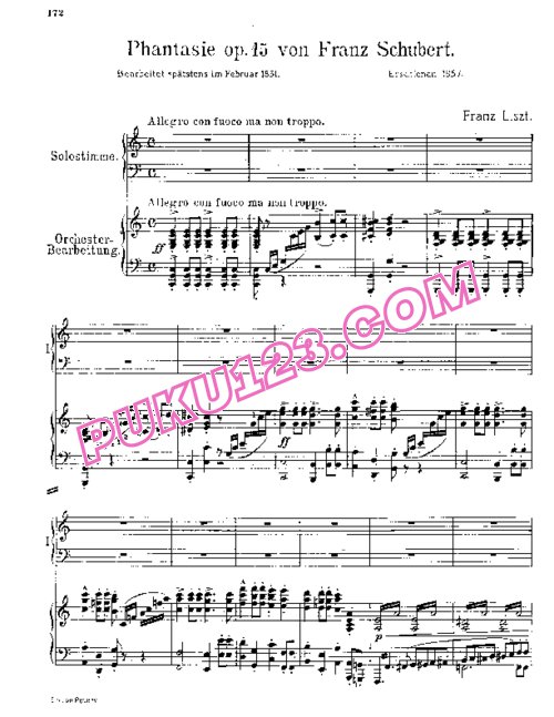 天天钢琴网-免费下载Liszt - Schubert - Wanderer Fantasy S.653 - 2 Pianos