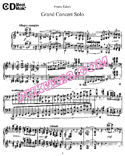 天天钢琴网-免费下载Liszt - Grand Concert Solo S.176 钢琴独奏版