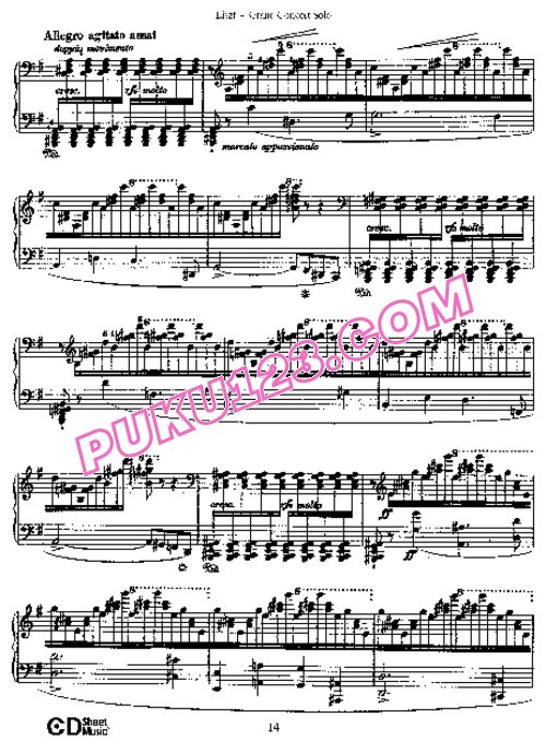 天天钢琴网-免费下载Liszt - Grand Concert Solo S.176 钢琴独奏版