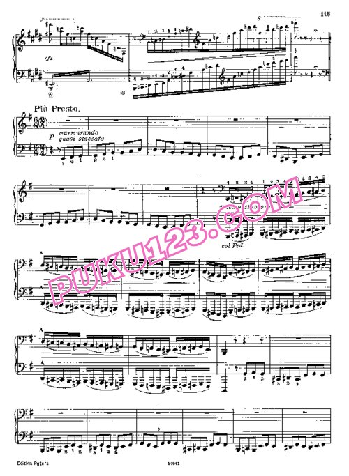 天天钢琴网-免费下载Liszt - Auber - Tarantelle De Bravour De La Muette De Portici S.386