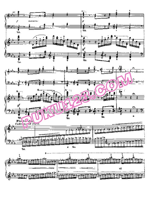 天天钢琴网-免费下载Liszt - Bellini - Grande fantaisie de concert sur la Sonambula 李斯特改编钢琴独奏版