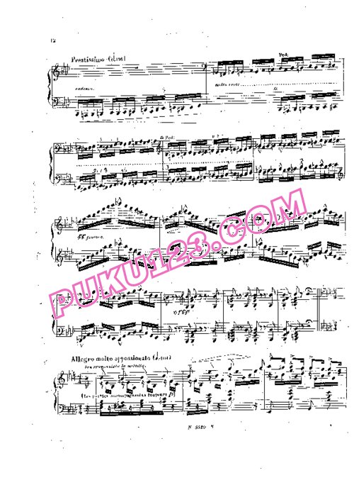 天天钢琴网-免费下载Liszt - Divertissement Sur une Cavatine de Pacini S.419
