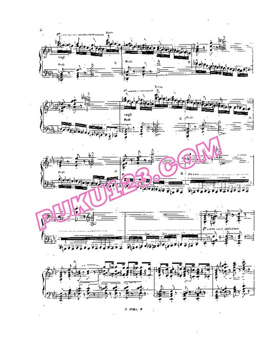 天天钢琴网-免费下载Liszt - Divertissement Sur une Cavatine de Pacini S.419