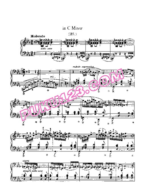 天天钢琴网-免费下载Liszt - 2 Polonaises S.223