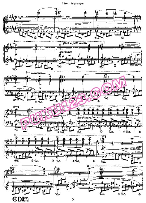 天天钢琴网-免费下载Liszt - Impromptu in F-sharp Major, Nocturne S.191