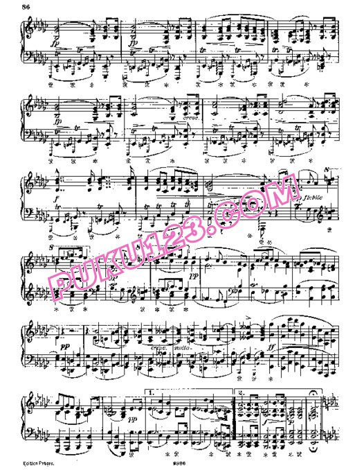 天天钢琴网-免费下载Liszt - Schubert Trois Marches - No.1 Trauermarsch .pdf