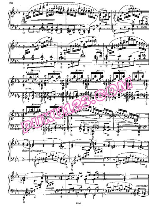 天天钢琴网-免费下载Liszt - Schubert Trois Marches - No.1 Trauermarsch .pdf