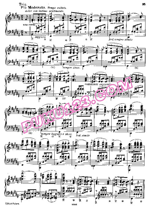 天天钢琴网-免费下载Liszt - Schubert Trois Marches - No.2 Allegretto fuocoso .pdf