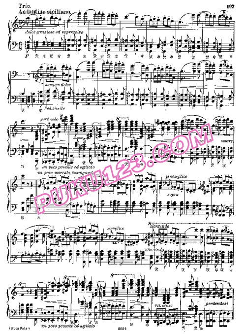 天天钢琴网-免费下载Liszt - Schubert Trois Marches - No.3 Reitermarsch