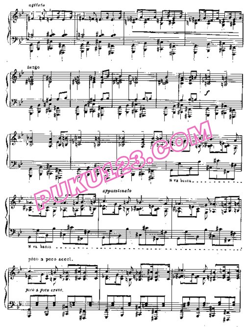 天天钢琴网-免费下载Liszt - Trauervorspiel und Trauermarsch S.206