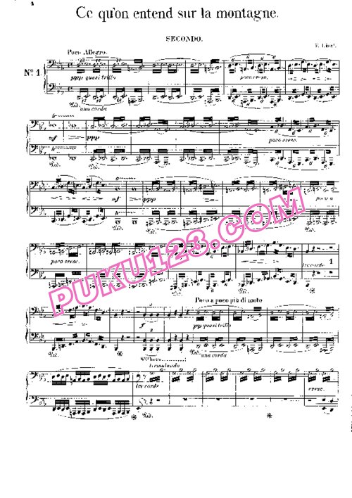 天天钢琴网-免费下载Liszt - Symphonic Poem No.1, Ce qu on entend sur la montagne S.589 - 4 Hands 四手联弹版 S.589