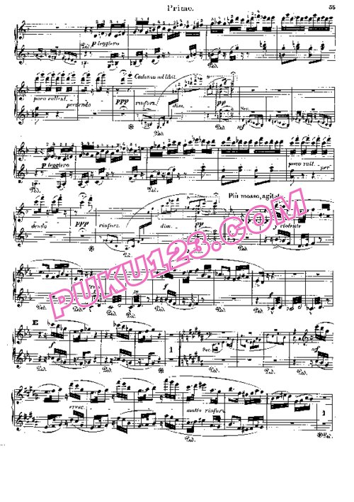 天天钢琴网-免费下载Liszt - Symphonic Poem No.9, Hungaria S.596 - 4 Hands 四手联弹版 S.596