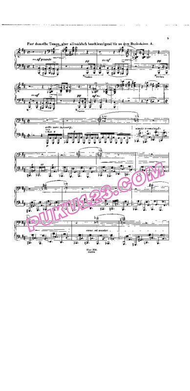 天天钢琴网-免费下载Liszt - Stradal - Symphonic Poem No.10, Hamlet S.104 - Solo Piano 斯特拉达尔改编钢琴独奏版