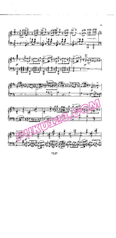 天天钢琴网-免费下载Liszt - Stradal - Symphonic Poem No.11, Die Hunnenschlacht S.105 - Solo Piano 钢琴独奏版