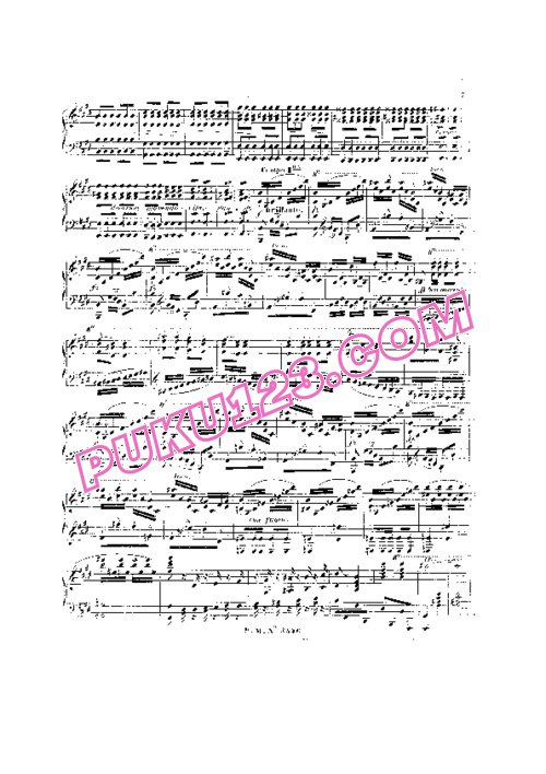天天钢琴网-免费下载Liszt - Impromptu Brillant sur Des Thèmes de Rossini et Spontini S.150