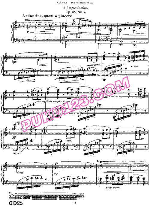 天天钢琴网-免费下载MacDowell - Twelve Virtuoso Etudes Op.46