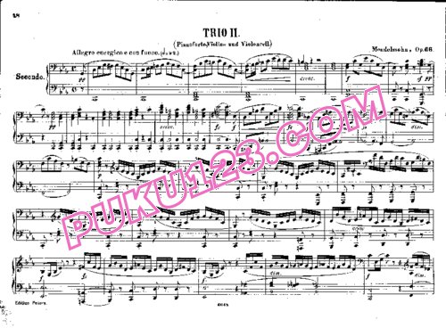 天天钢琴网-免费下载Mendelssohn - Piano Trio No.2 in c Minor Op.66 - 4 Hands