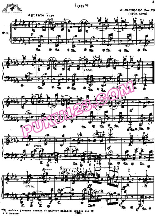 天天钢琴网-免费下载Moscheles - 12 Etudes Op.70
