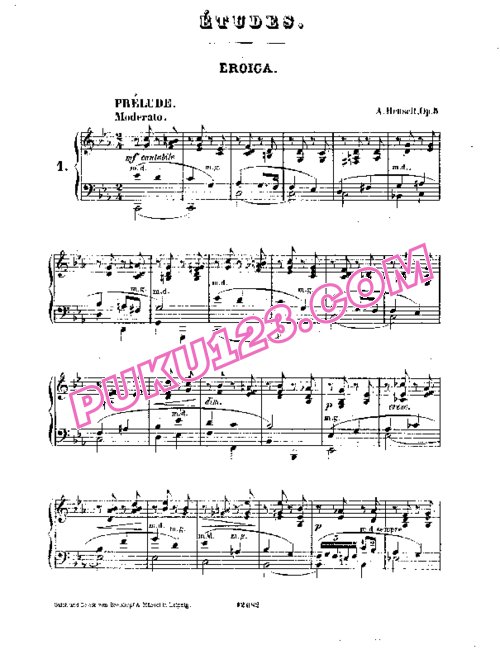 天天钢琴网-免费下载Henselt - Douze Etudes de Salon Op.5